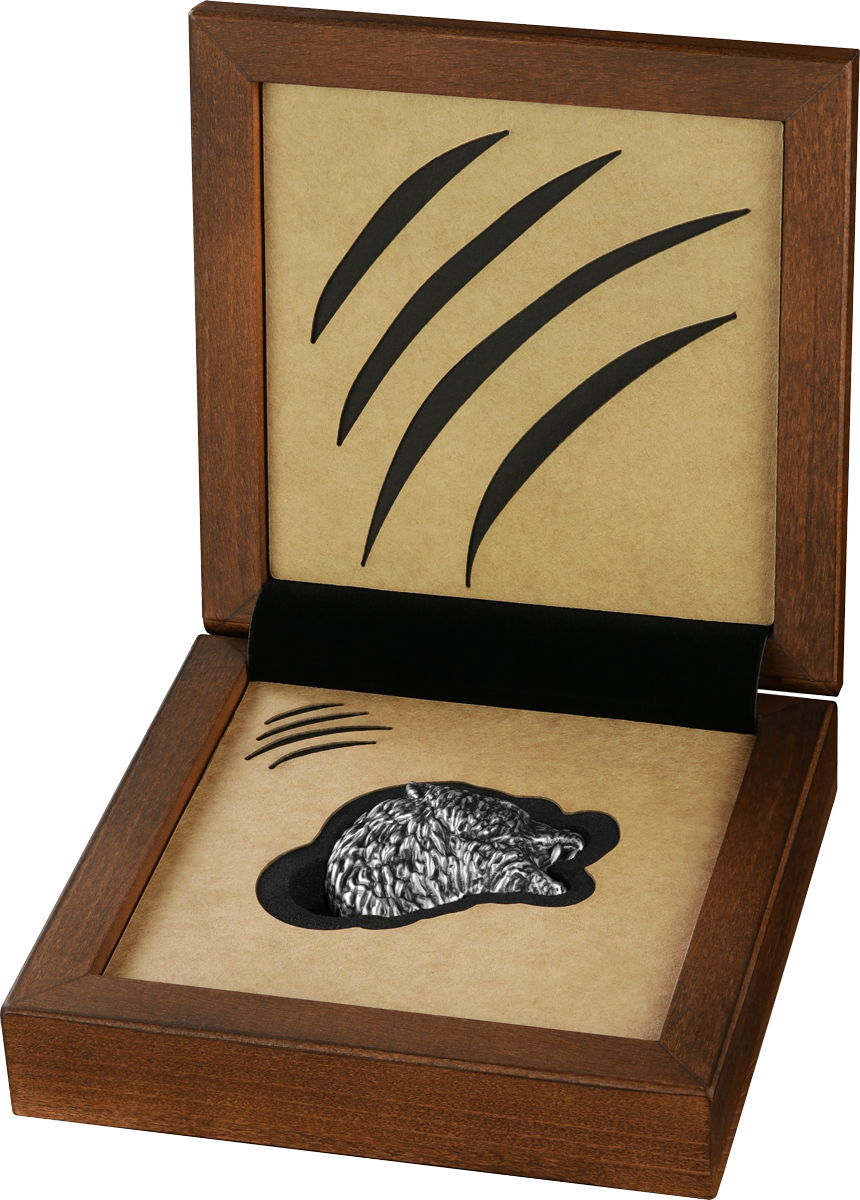 Germania Mint Silberbarren 5 oz Bearlin 2025 Antik Finish Gussbarren 999 Silber – Bild 3