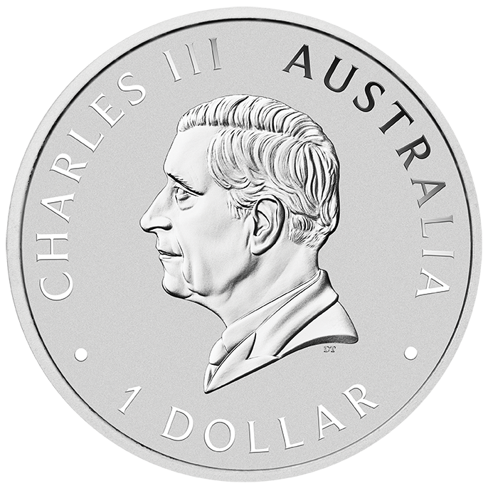 Silbermünze 1 oz Australien Koala 2025 Privi Bison ANA Coin Show Special Oklahoma – Bild 4