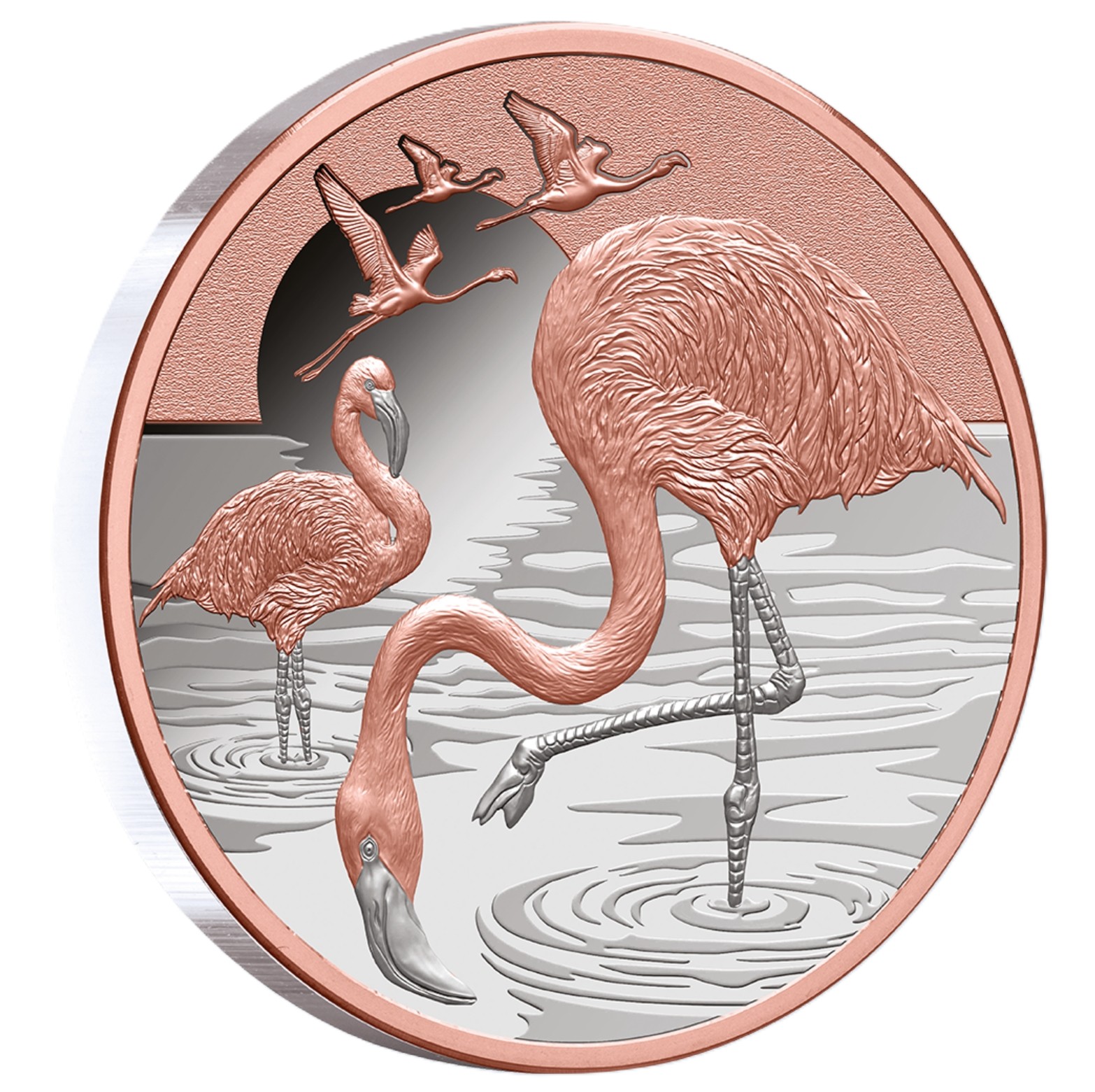 Silbermünze 1 oz Flamingo Rosegold 2025 Silber Münze Niue 999 PP – Bild 3