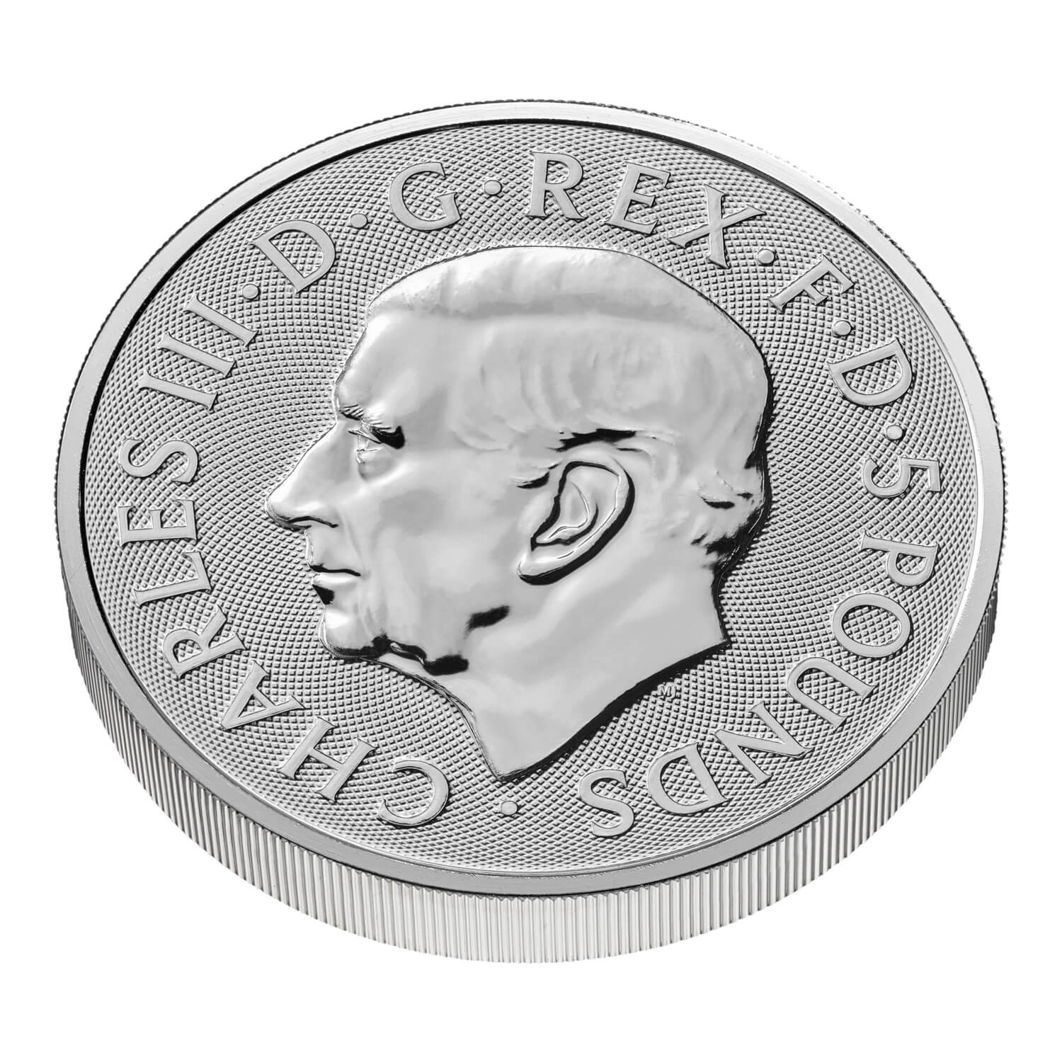 Silbermünze 2 oz Tudor Beasts - Queen's Lion 2026 Royal Mint 999 Silber 5 Pounds – Bild 4