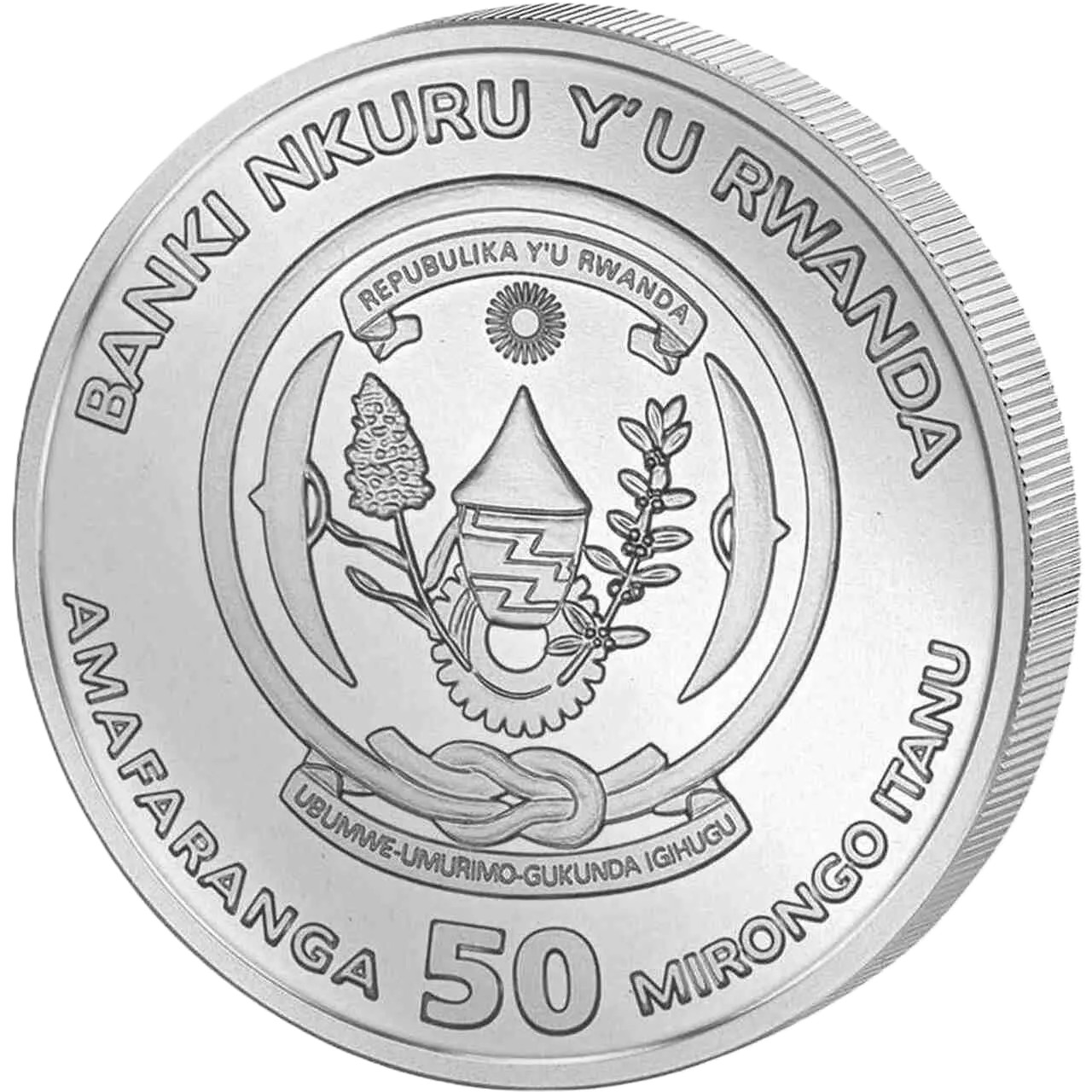 Silbermünze 1 oz Ruanda African Ounce Tüpfelhyäne 2026 Silber Münze – Bild 3