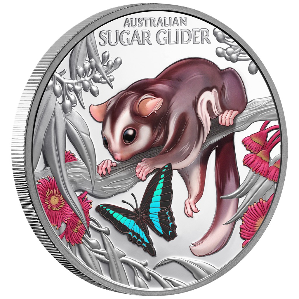 Silbermünze 1 oz Cute & Cuddly - Baby Sugar Glider 2026 PP Box Farbe Niue .999 Silber – Bild 2