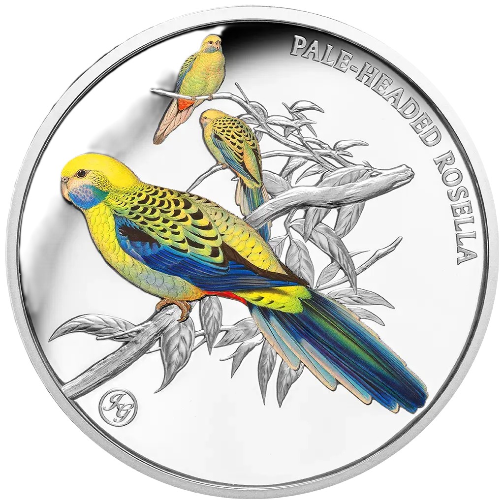 Silbermünze 1 oz Niue Blasskopfsittich 2026 Farbe Polierte Platte Privy Mark 999 – Bild 3