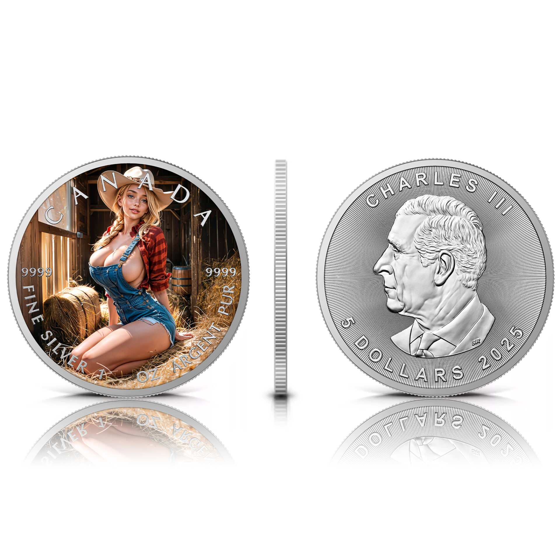 Silbermünze Canada 1 oz - Warm Barn - 2025 Farbe Aufsteller CoA 999.9 – Bild 4