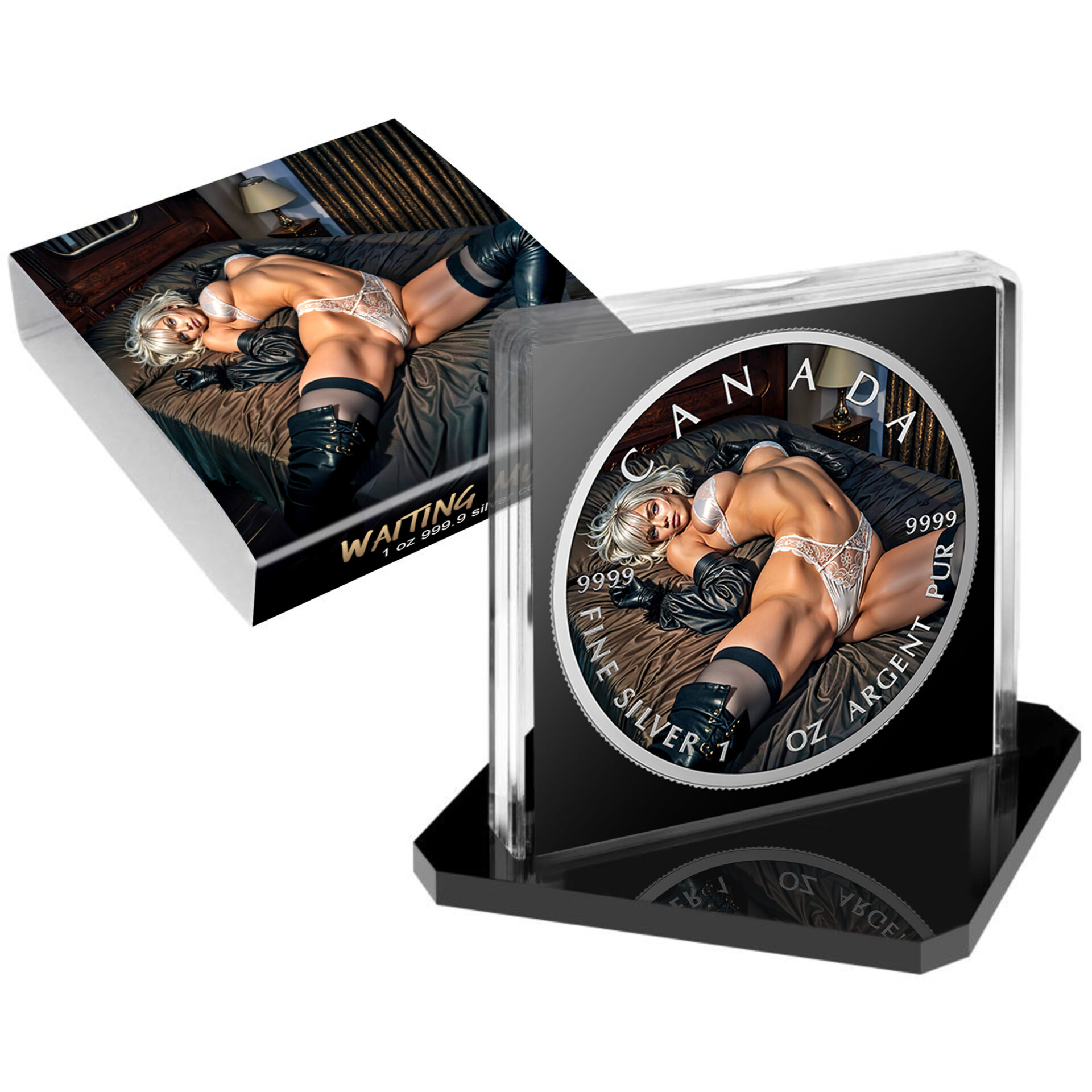 Silbermünze Canada 1 oz - Waiting Much - 2026 Farbe Aufsteller CoA 999.9 – Bild 5