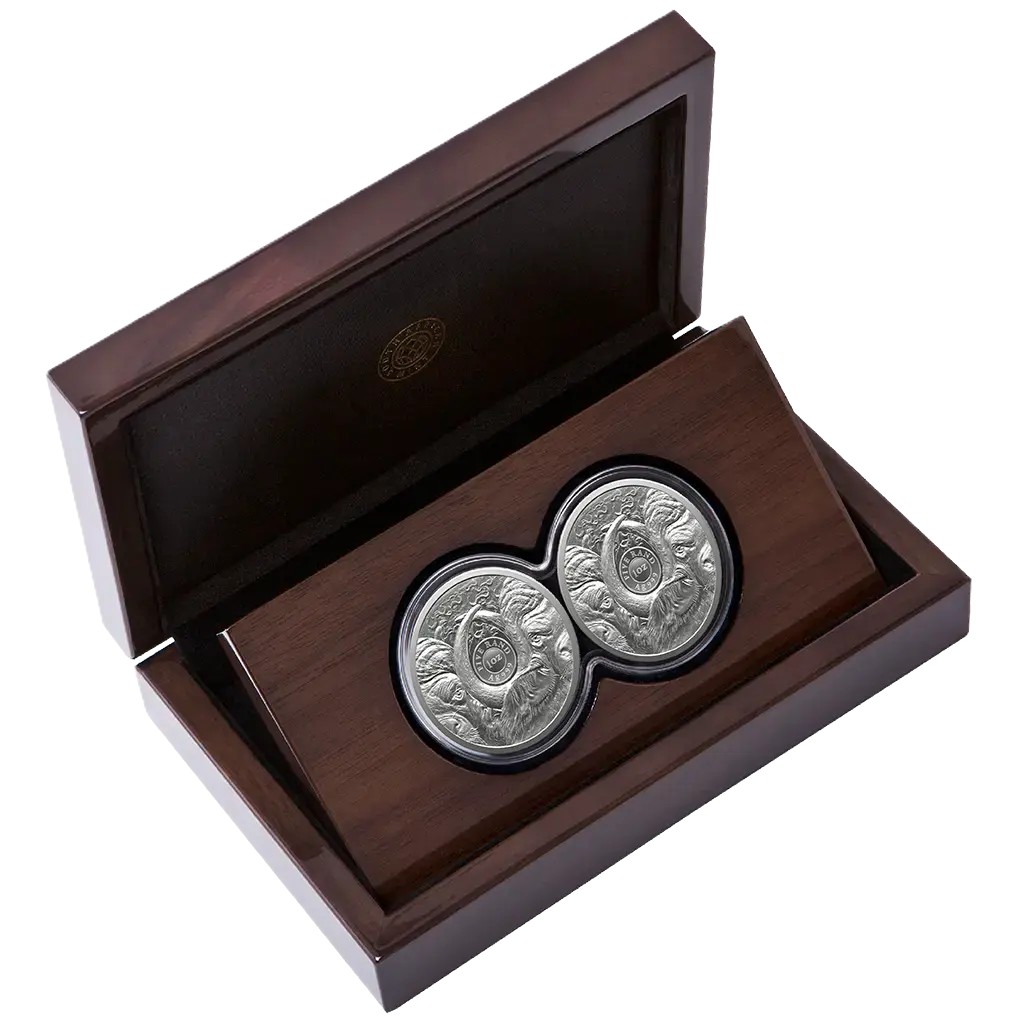 Silbermünze 2 x 1 oz Big Five III Büffel 2026 Doppel-Kapsel Set PP 999 Silber – Bild 6