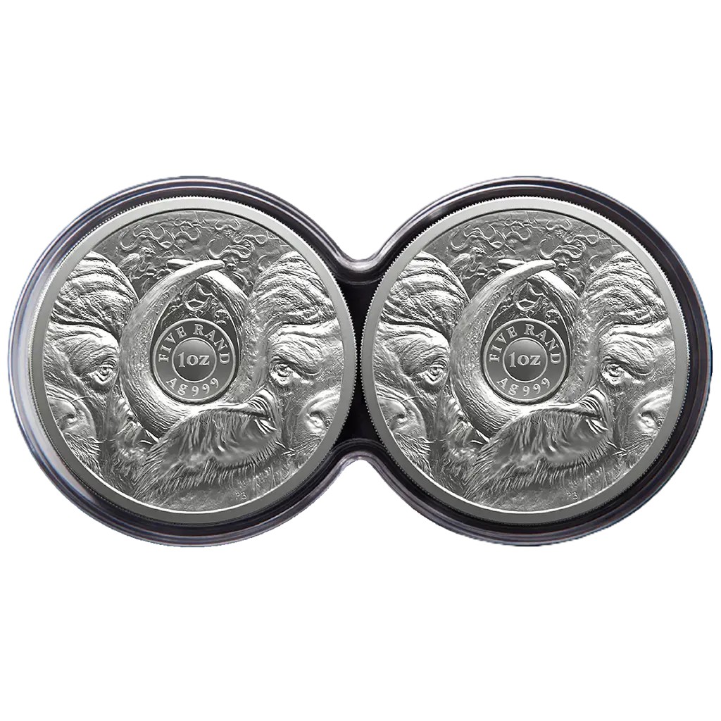 Silbermünze 2 x 1 oz Big Five III Büffel 2026 Doppel-Kapsel Set PP 999 Silber – Bild 4