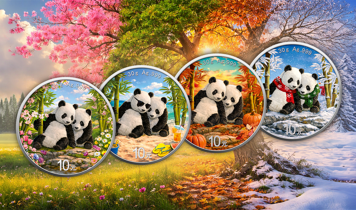 Silbermünze 30 Gramm China Panda 2026 - 4 Jahreszeiten Winter 999 Silber – Bild 7